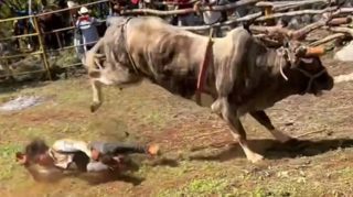 “没逝没逝，都是皮外伤”
