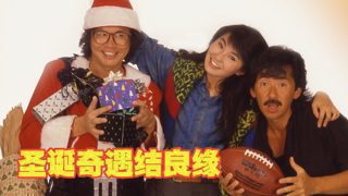 圣诞奇遇结良缘国语（林子祥/张曼玉/岑建勋/秦沛/午马）