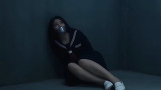 365天爱上黑帮大佬在线观看家书抵万金
